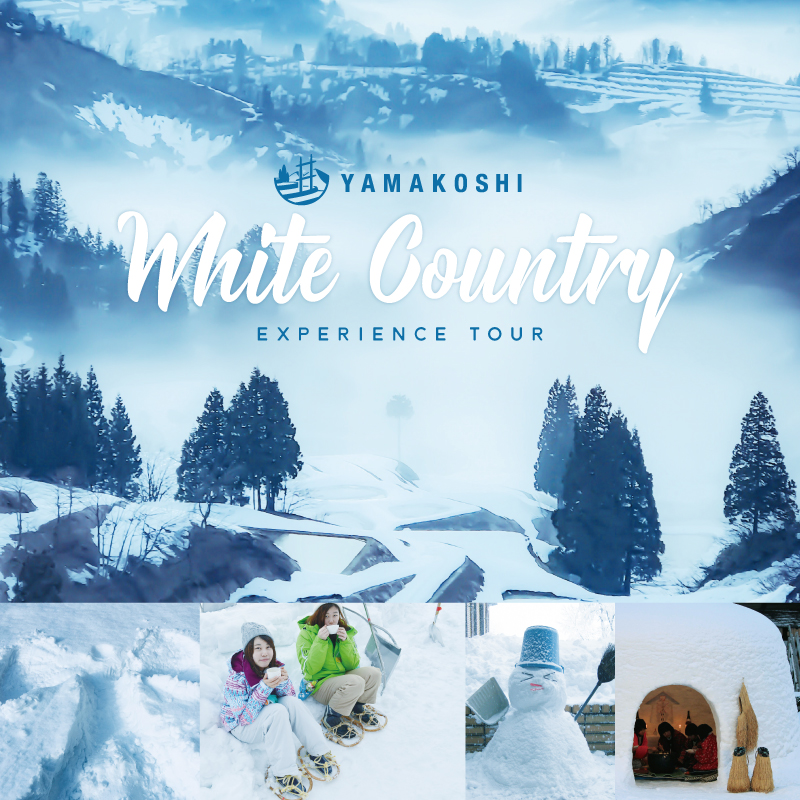 #Yamakoshi Whiter Country Experience Tour